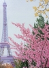 Eiffel Tower With Blossom