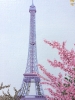 Eiffel Tower With Blossom