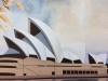 Opera House With Golden Wattle