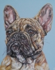 Le Woof Woof! French Bulldog Original Painting