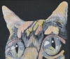 FELINE WHIMSICAL GAZE