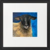 Three sheep framed