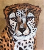 Sad Cheetah