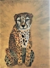 Sad Cheetah