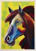 Colourful Horse