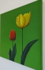 Two Tulips