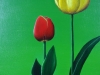 Two Tulips