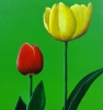 Two Tulips