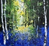 Seasons - First Bluebells & Birches