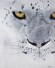 \"Ghost of the Mountains\" original snow leopard painting