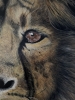 \"Power of Silence\" original lion painting