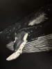 \"Songs of the Sea\" original humpback whale painting