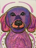 Purple Dog