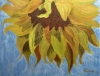 Sunflowers in the wind