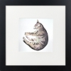 Tabby Cat Curled Up Asleep Framed