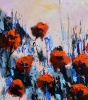 Red poppies
