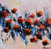 Red poppies