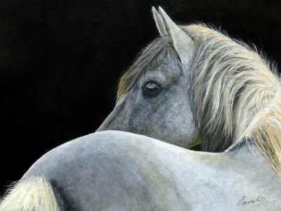 Dappled Grey