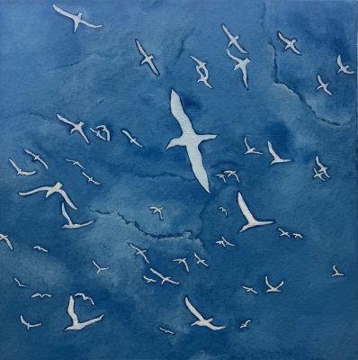 A Sky Full of Gannets