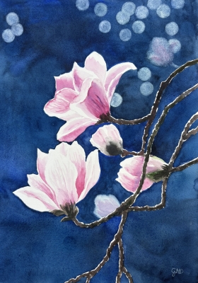 PINK MAGNOLIAS 