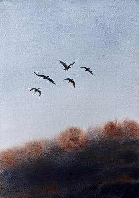 FLOCK OF BIRDS