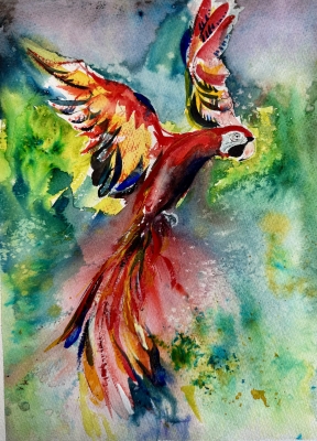 Flamboyante