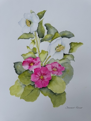 Spring Joy