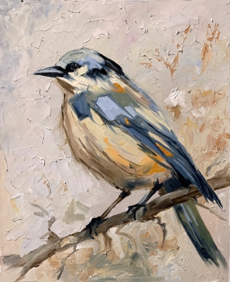Quiet Observer. The Eurasian Nuthatch.