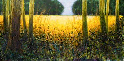 Golden Wheat Field in the Glade