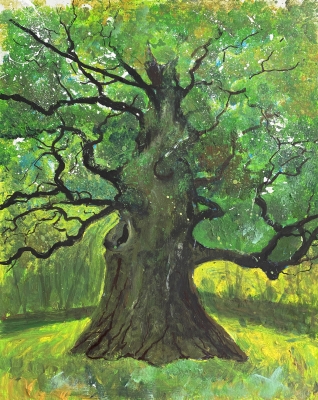 One Old Oak tree