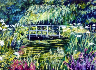Shady Backwater