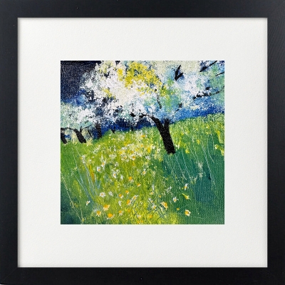 Cherry Blossom in the Orchard
