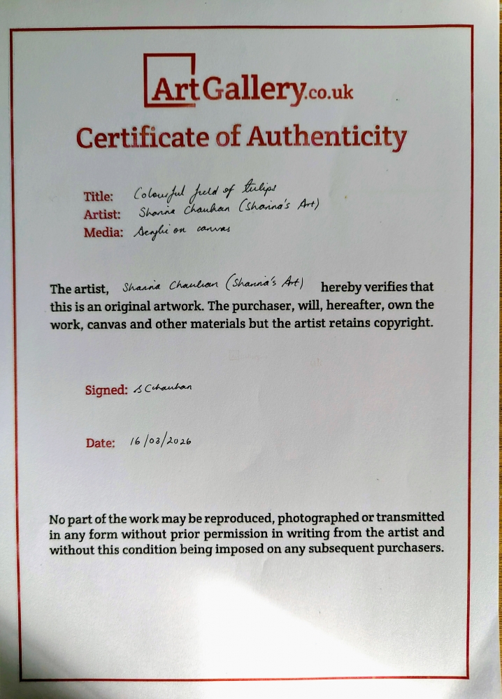 Colourful Field Of Tulips 