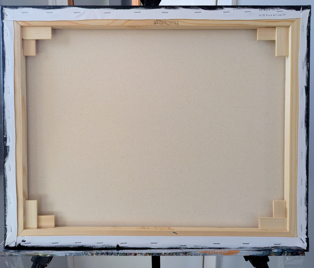 Colourful Field Of Tulips 