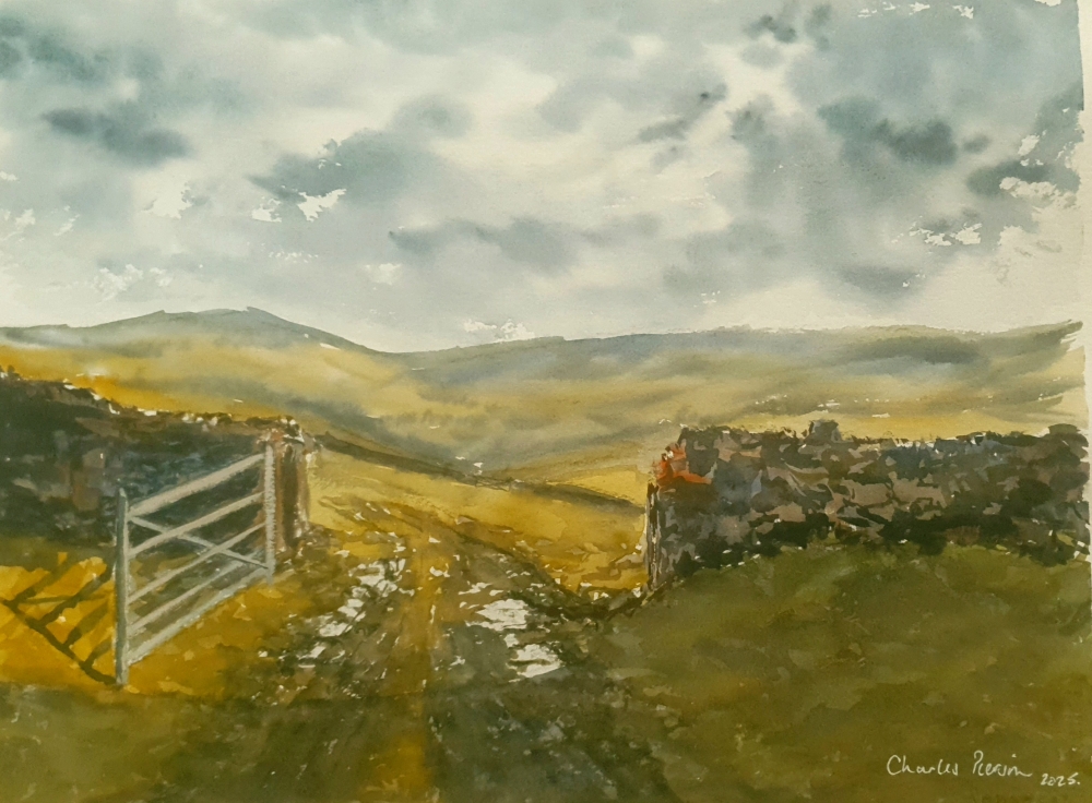 Gateway to the Moors. 15x11 inches.  (Unframed)