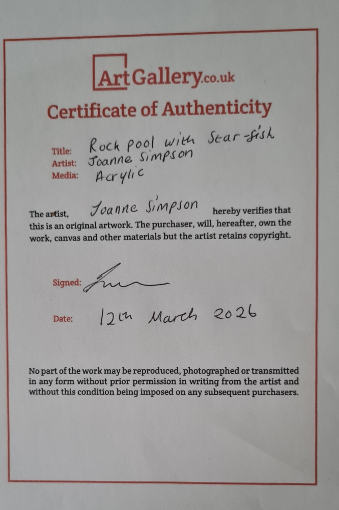 Rockpool with Star-Fish