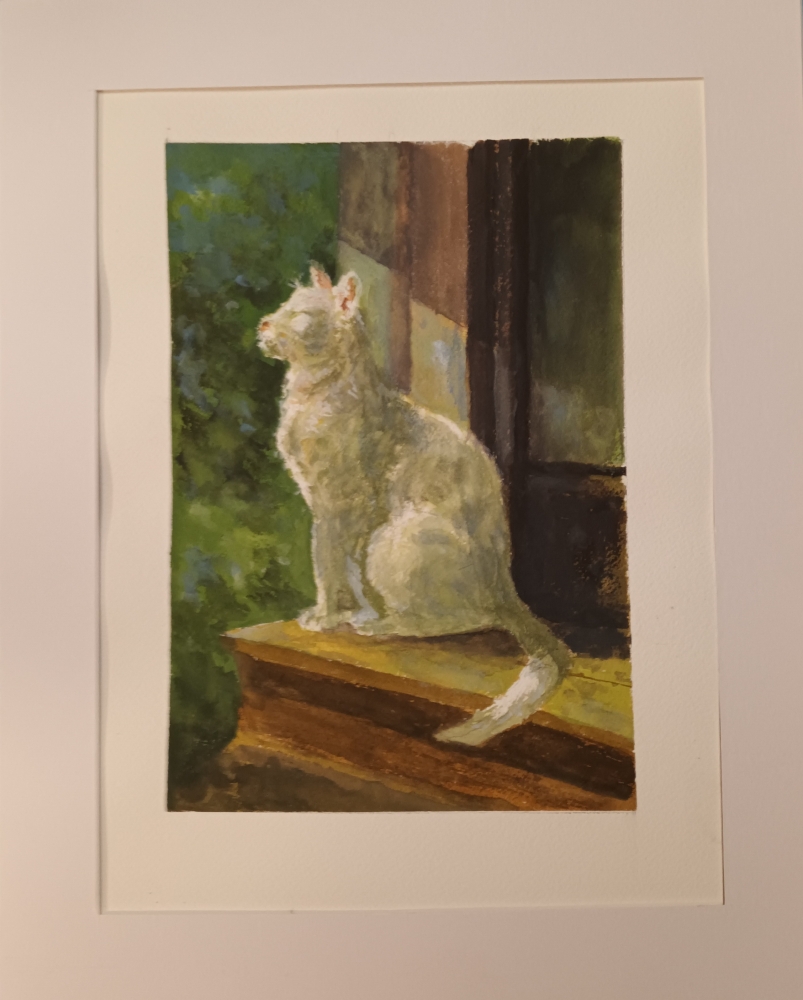 \"White Cat in the Moonlight\"