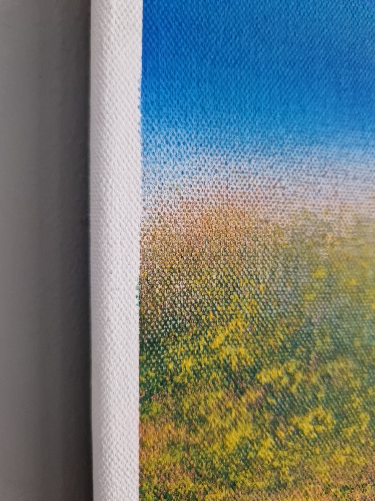 Golden Fields, Endless Blues