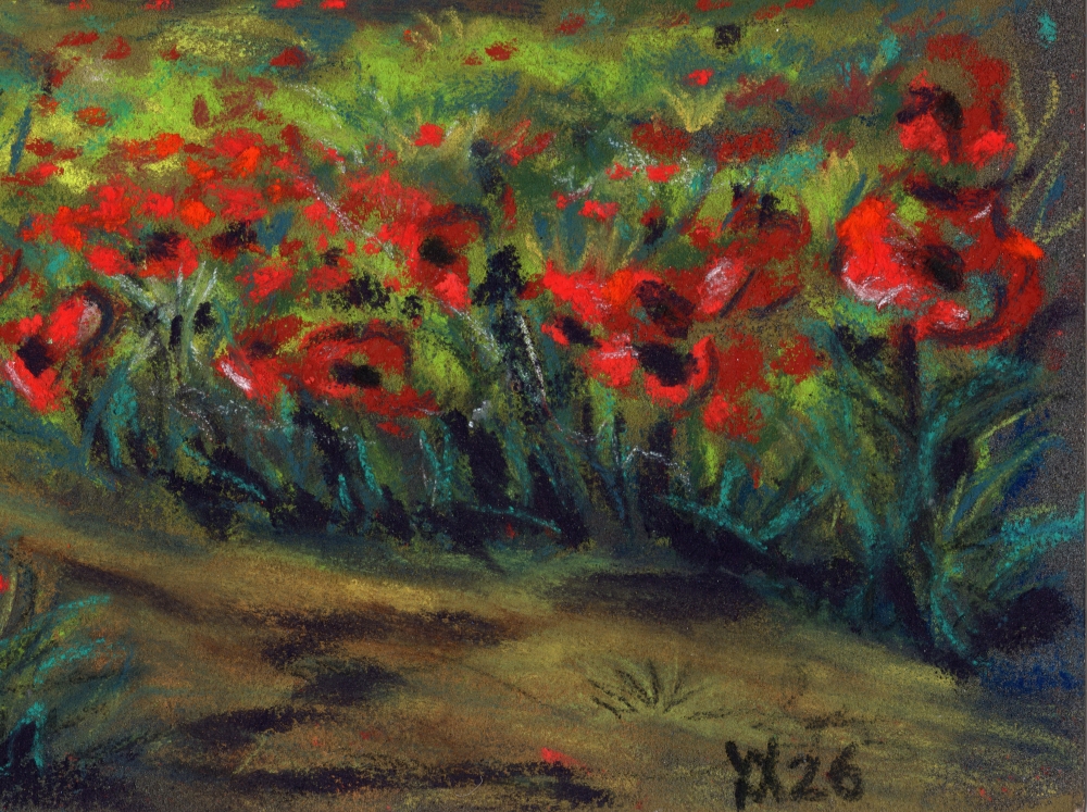 Poppy Field Landscape