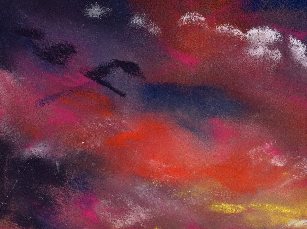 Poppy Field Landscape