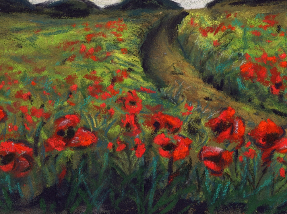 Poppy Field Landscape