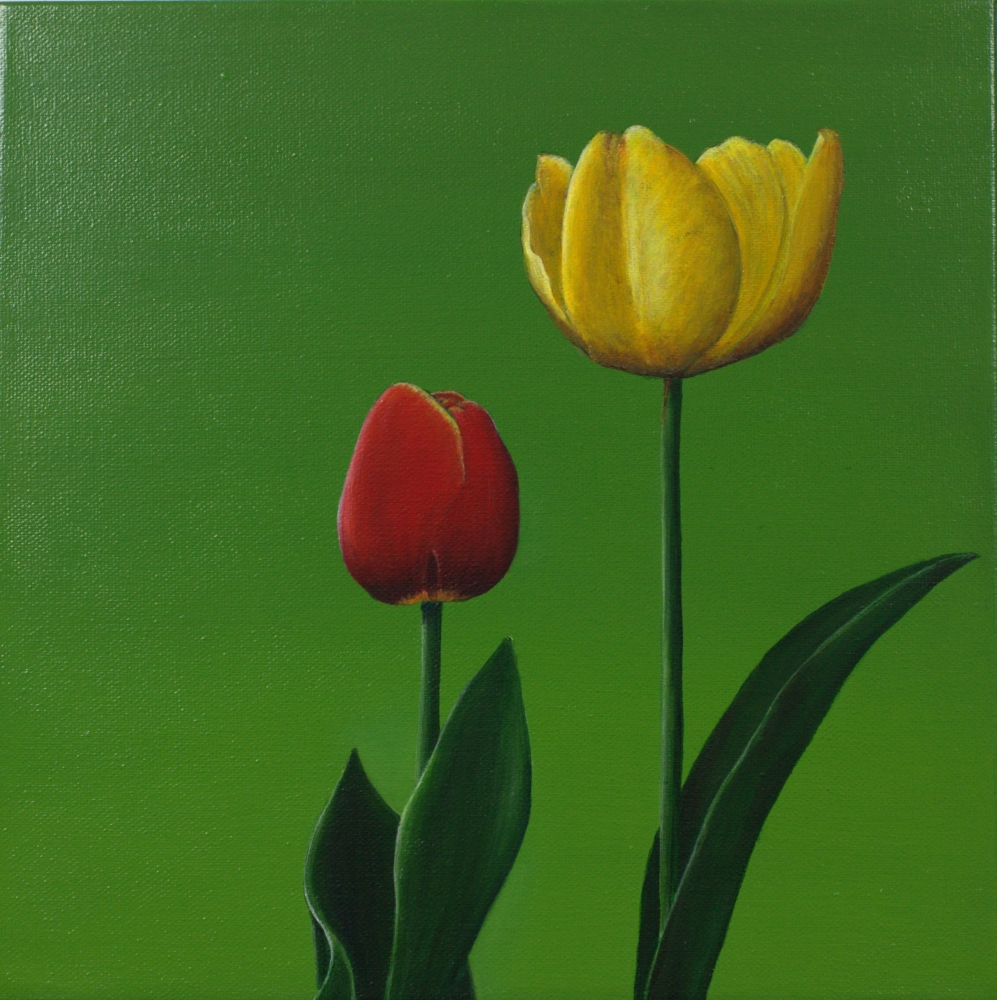 Two Tulips