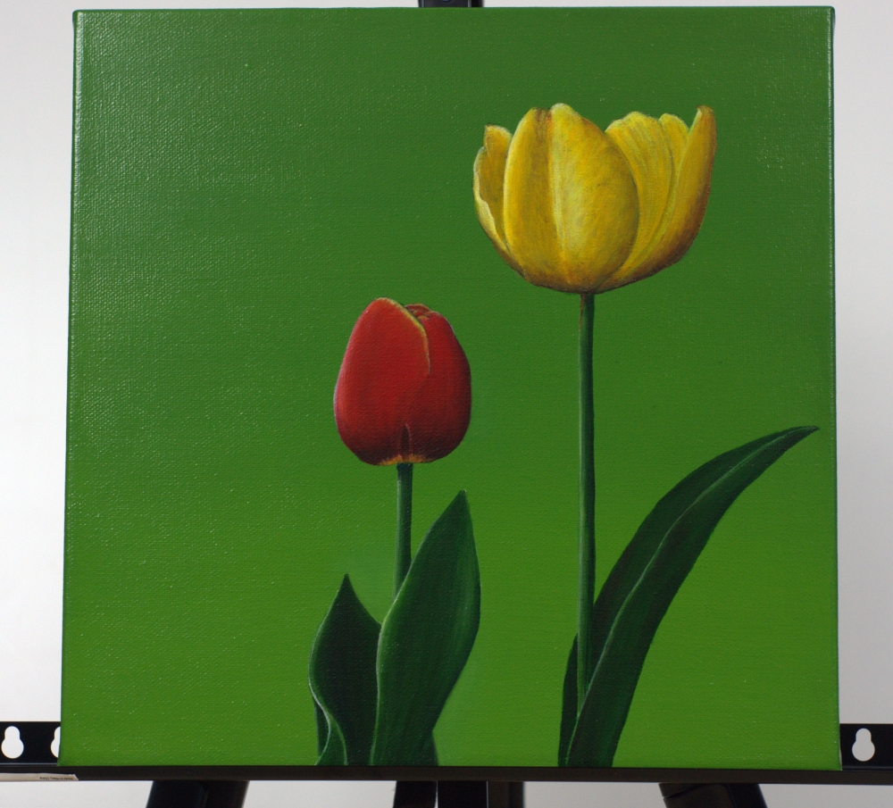 Two Tulips