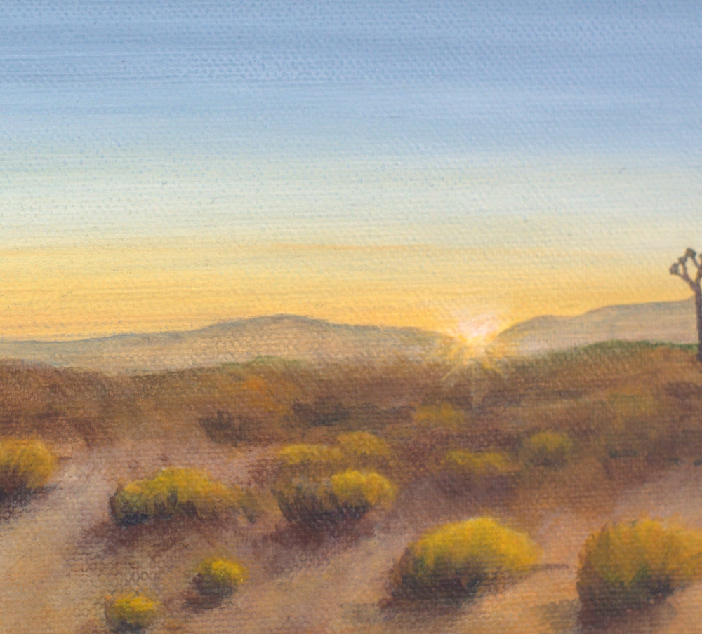 Sunrise Among The Joshua Trees