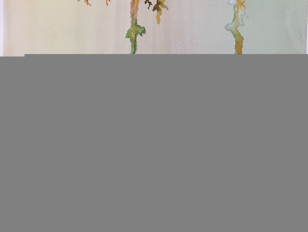 Flowers from Galaxy, 12x18 inch, 30,5z46 cm, Watercolors on Cold Press Paper SKU 4046 