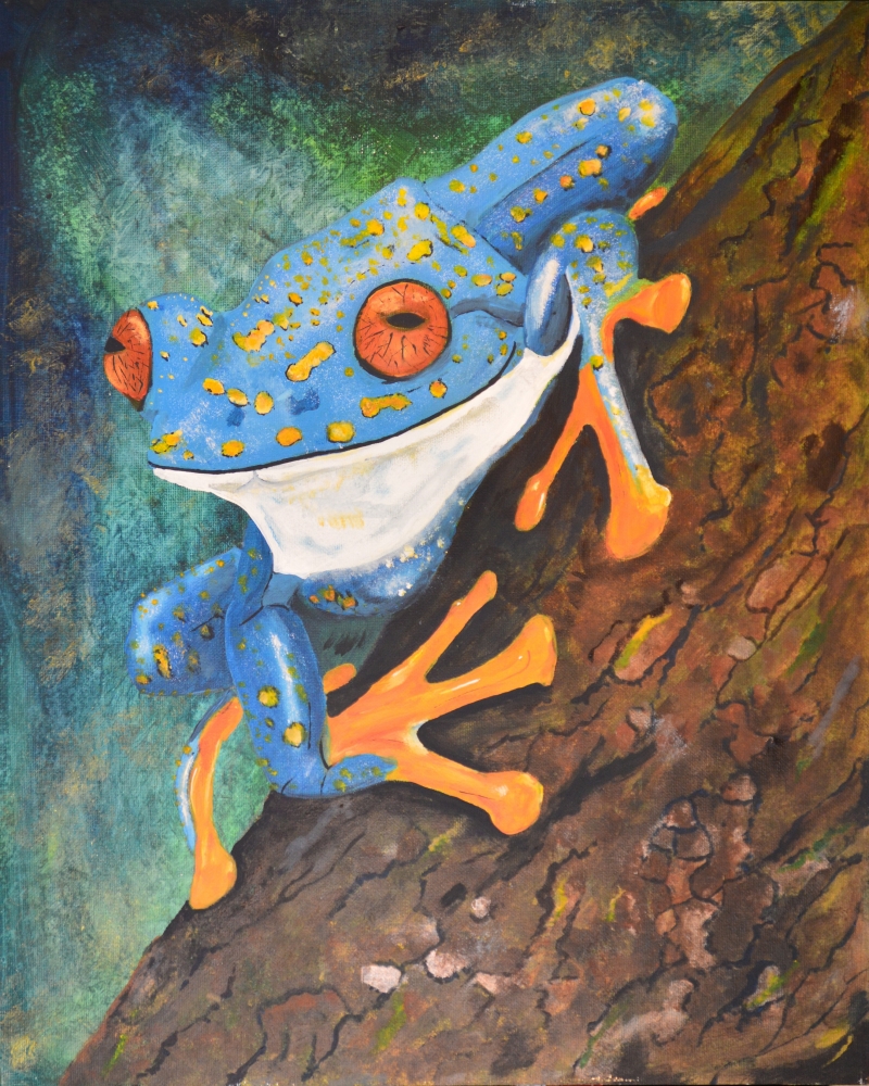 Tree Frog, Non-Lickable.