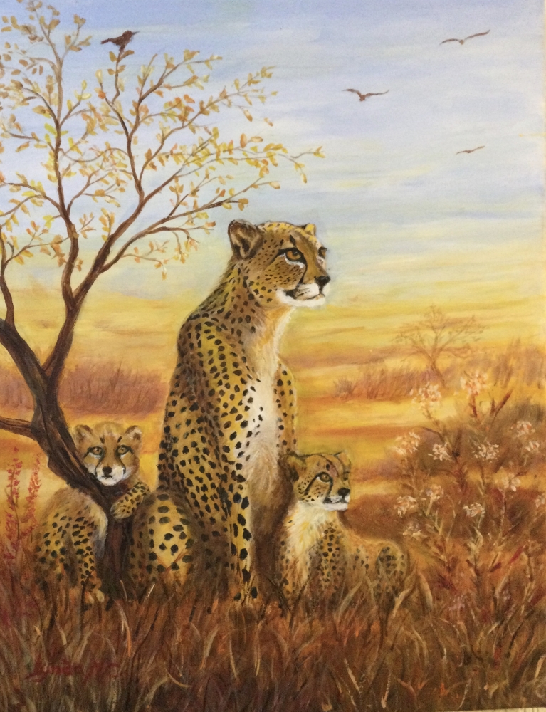 CHEETAH FAMILY