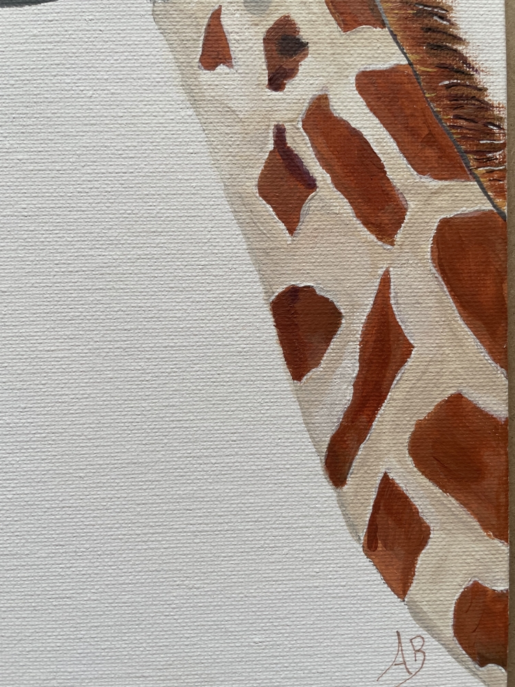 Giraffes Head and Neck