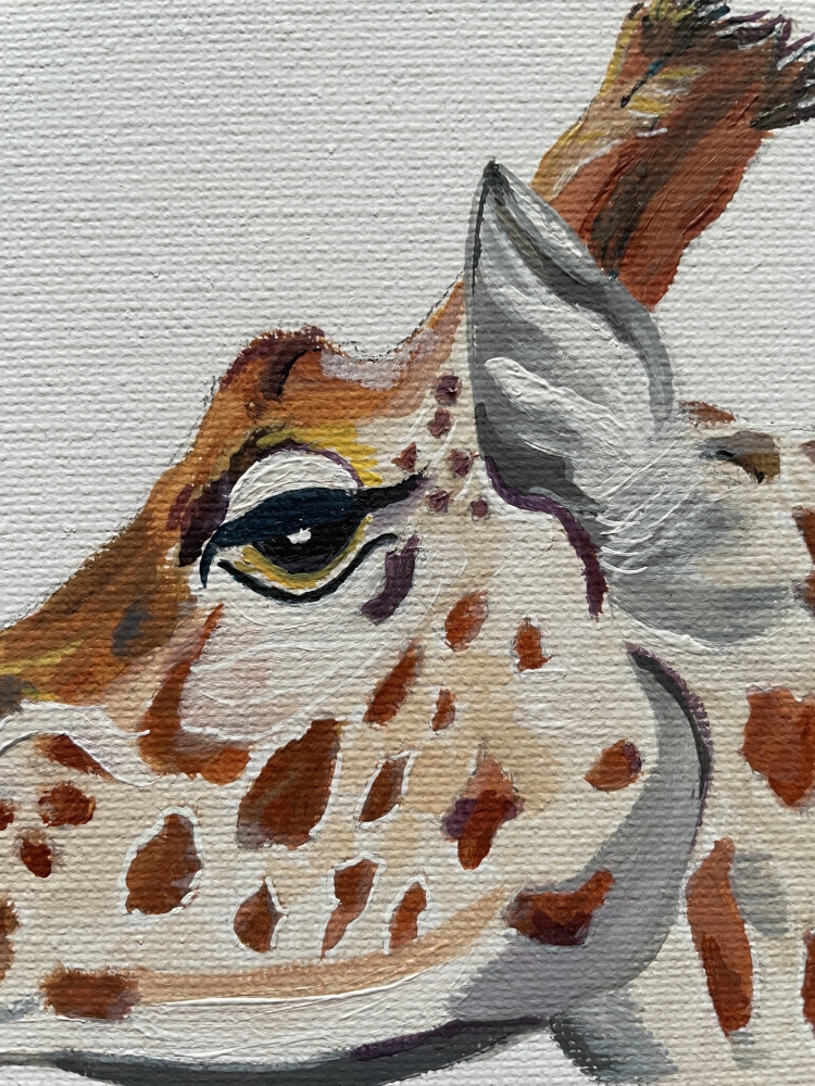 Giraffes Head and Neck