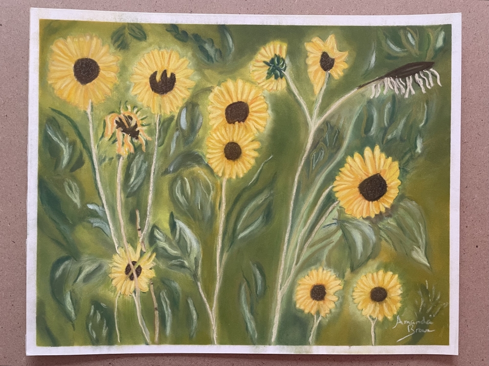 A Cluster of Sunflowers 